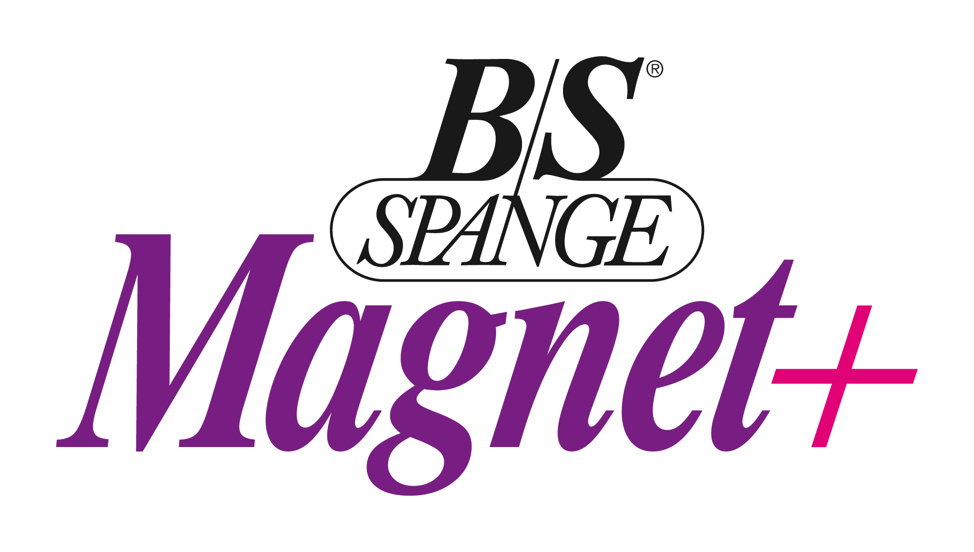 BS Spange Magnet +
